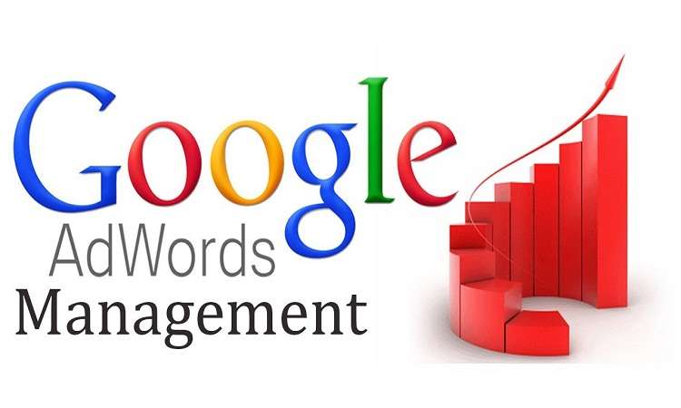 Adwords Management-Experten